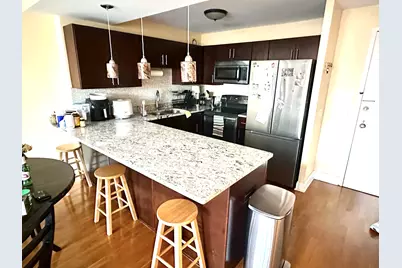 801 S Plymouth Court #306, Chicago, IL 60605 - Photo 4
