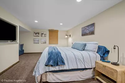 25699 W North Avenue, Antioch, IL 60002 - Photo 56