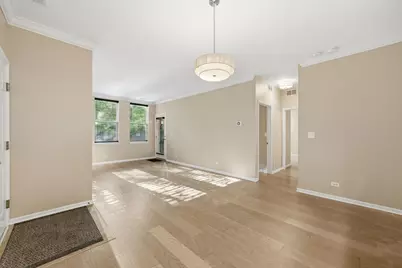 1225 N Orleans Street #602, Chicago, IL 60610 - Photo 6