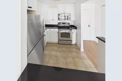 10 E Ontario Street #4205, Chicago, IL 60611 - Photo 16