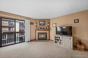 695 Dean Dr, South Elgin, IL 60177 - Photo 14