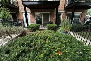1826 S Michigan Ave, Chicago, IL 60616 - Photo 2
