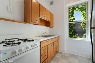 732 W 19th St, Chicago, IL 60616 - Photo 4