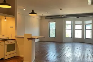 1908 S Halsted St, Chicago, IL 60608 - Photo 6