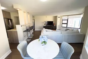401 E Ontario St, Chicago, IL 60611 - Photo 26