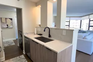 401 E Ontario St, Chicago, IL 60611 - Photo 34