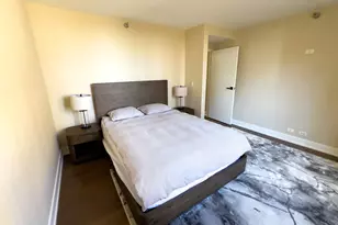 401 E Ontario St, Chicago, IL 60611 - Photo 18