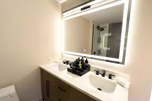 401 E Ontario St, Chicago, IL 60611 - Photo 14