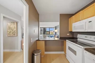 1560 N Sandburg Terrace #507J, Chicago, IL 60610 - Photo 2