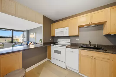 1560 N Sandburg Terrace #507J, Chicago, IL 60610 - Photo 4