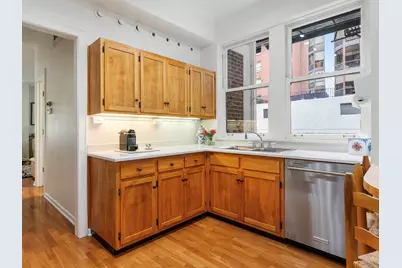 232 E Walton Place #3E, Chicago, IL 60611 - Photo 18