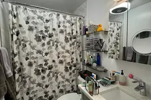 1560 N Sandburg Terrace, Chicago, IL 60610 - Photo 14