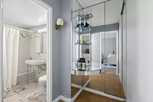 253 E Delaware Pl, Chicago, IL 60611 - Photo 10