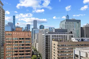 253 E Delaware Pl, Chicago, IL 60611 - Photo 6
