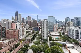 1355 N Sandburg Terrace, Chicago, IL 60610 - Photo 14