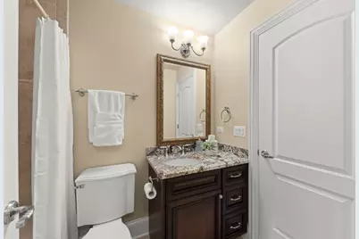 253 E Wilson Street, Elmhurst, IL 60126 - Photo 20