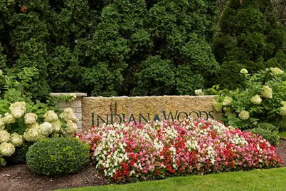 11124 Indian Woods Drive, Indian Head Park, IL 60525 - Photo 32