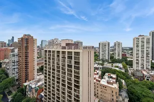 1445 N State Pkwy, Chicago, IL 60610 - Photo 28