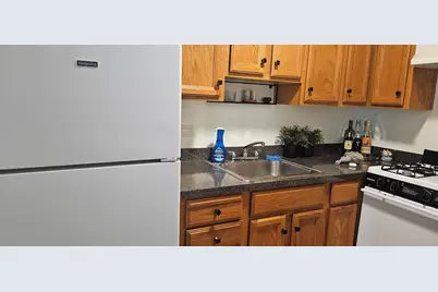 1 E Scott Street #1907, Chicago, IL 60610 - Photo 6