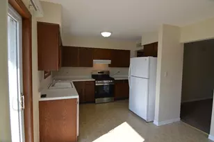 372 Eastern Ave, Barrington, IL 60010 - Photo 4