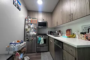 541 W Oakdale Ave, Chicago, IL 60657 - Photo 2
