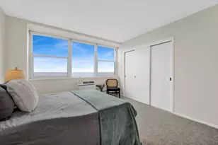 1150 N Lake Shore Dr, Chicago, IL 60611 - Photo 14