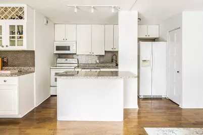 71 E Division Street #402, Chicago, IL 60610 - Photo 4
