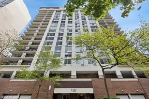 71 E Division St, Chicago, IL 60610 - Photo 18