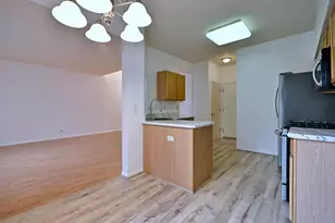 1087 Delta Dr, Elgin, IL 60123 - Photo 12