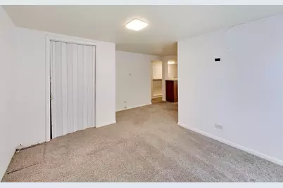 9039 Niles Center Road, Skokie, IL 60076 - Photo 28