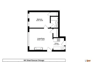 641 W Roscoe St, Chicago, IL 60657 - Photo 10