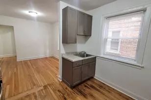 3816 W Thomas St, Chicago, IL 60651 - Photo 6