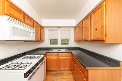 233 Custer Avenue #2, Evanston, IL 60202 - Photo 2