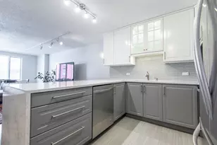 801 S Plymouth Ct, Chicago, IL 60605 - Photo 16