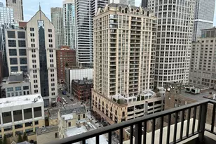 25 E Superior St, Chicago, IL 60611 - Photo 20