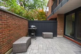 319 N Oak Park Ave, Oak Park, IL 60302 - Photo 46