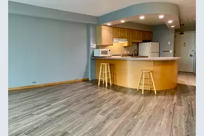 300 N State Street #3012, Chicago, IL 60654 - Photo 4