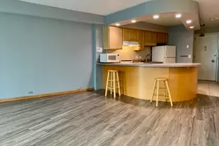 300 N State St, Chicago, IL 60654 - Photo 4
