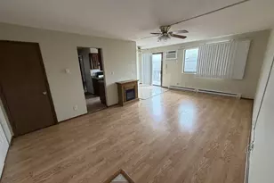 352 N Birch St, Manteno, IL 60950 - Photo 2