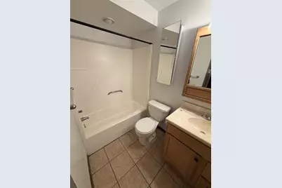 352 N Birch Street, Manteno, IL 60950 - Photo 4