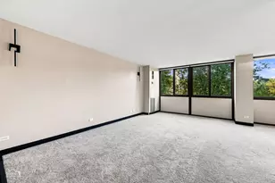 4850 S Lake Park Ave, Chicago, IL 60615 - Photo 12
