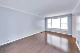 8215 S Tripp Ave, Chicago, IL 60652 - Photo 6