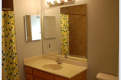 410 W Mahogany Court #503, Palatine, IL 60067 - Photo 20