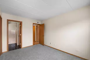812 S Miller St, Chicago, IL 60607 - Photo 14