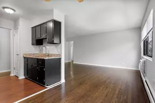 6826 N Ridge Blvd, Chicago, IL 60645 - Photo 4