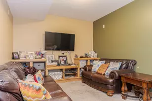 107 N Gadwall Ln, Downs, IL 61736 - Photo 38