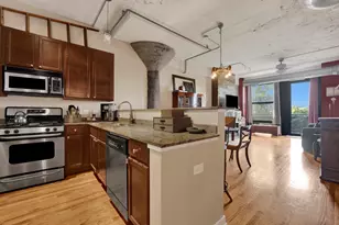1071 W 15th St, Chicago, IL 60608 - Photo 8