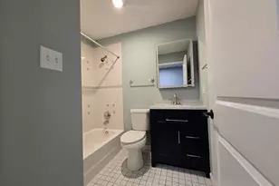 6941 S Cornell Ave, Chicago, IL 60649 - Photo 16