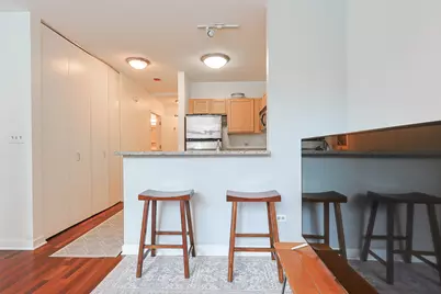 222 N Columbus Drive #302, Chicago, IL 60601 - Photo 8