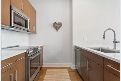 850 N Lake Shore Drive #210, Chicago, IL 60611 - Photo 10